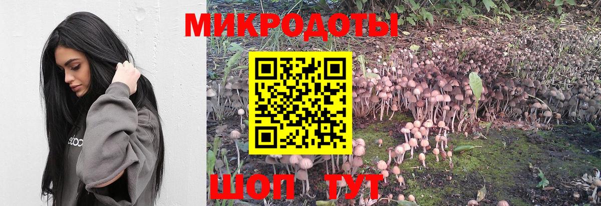 Псилоцибиновые грибы Psilocybe  Вход с VPN  Дивногорск  Галлюциногенные грибы Magic Shrooms 